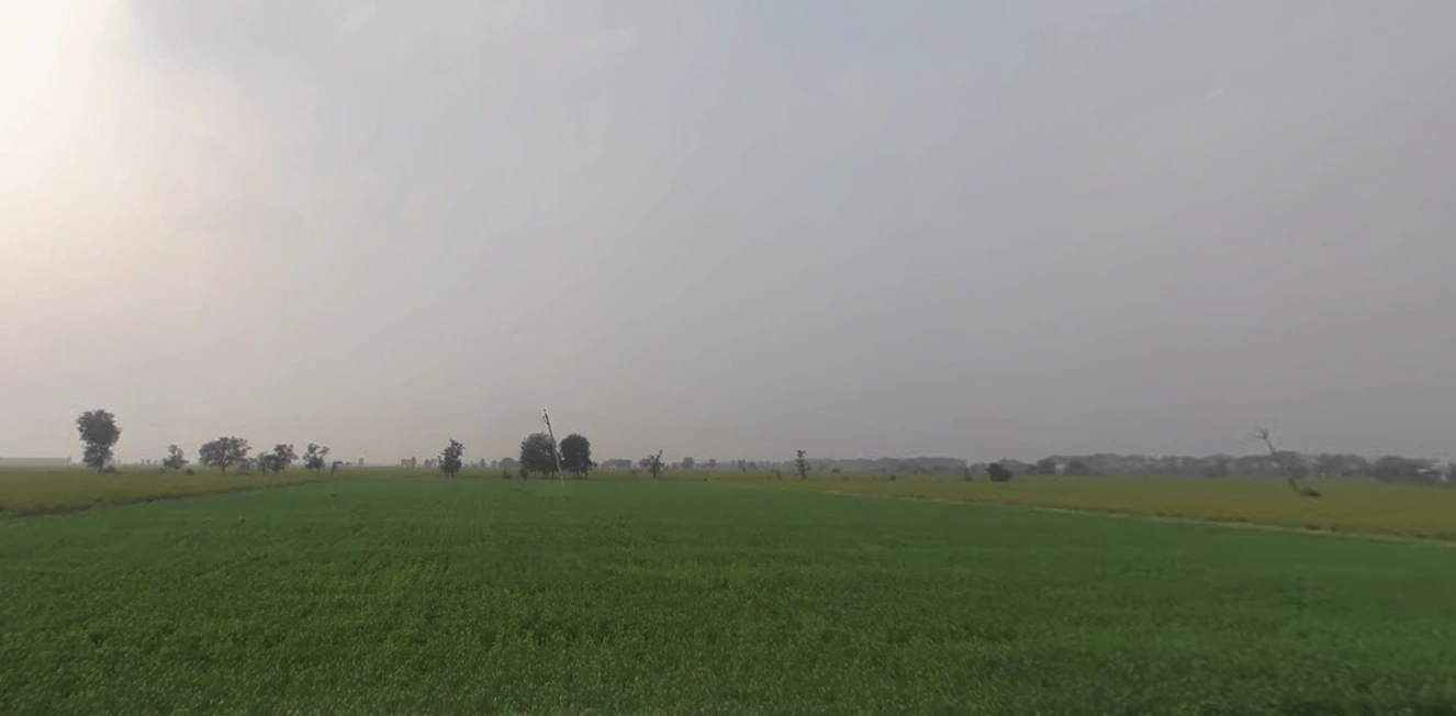 Tranja, Gujarat 387530, India