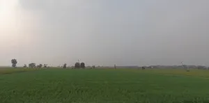 Tranja, Gujarat 387530, India preview 2