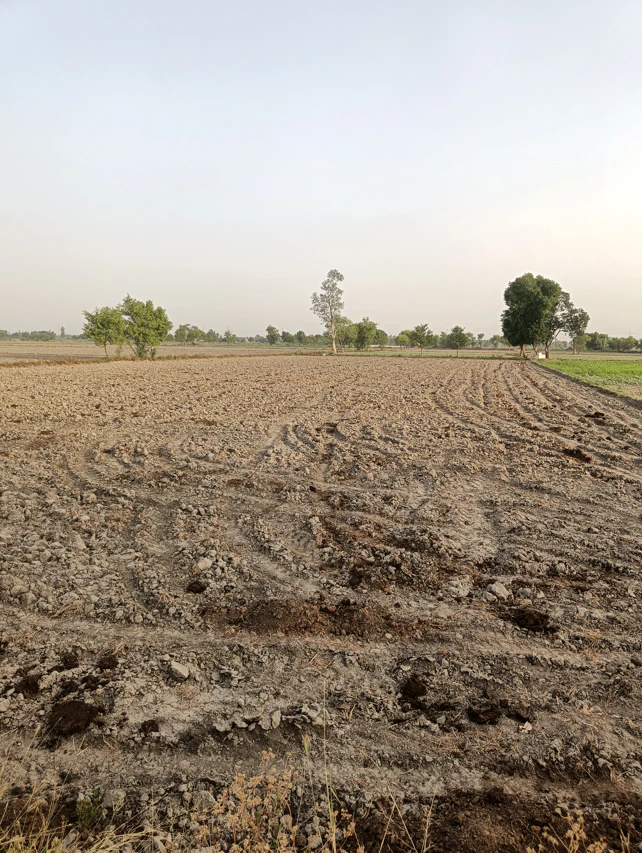 Beas, Punjab 143201, India