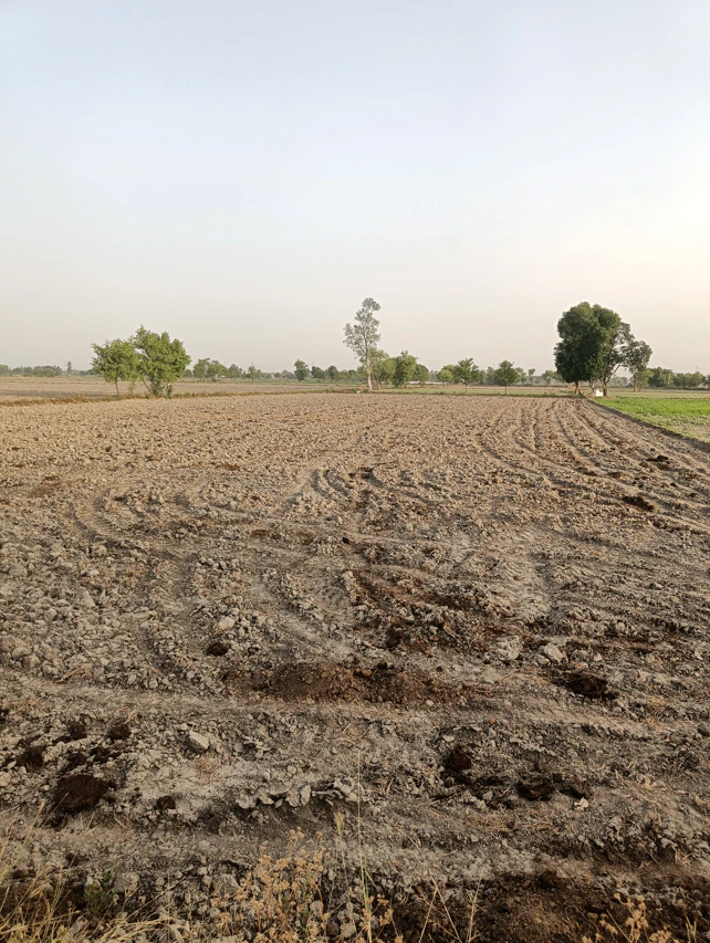 Beas, Punjab 143201, India
