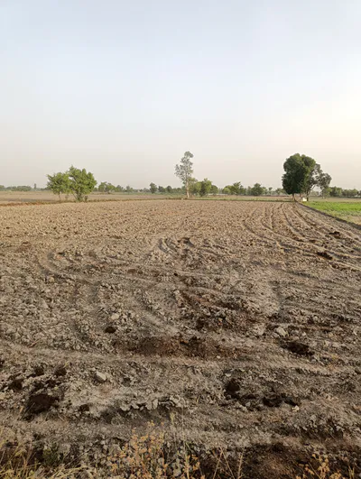 Beas, Punjab 143201, India preview 3