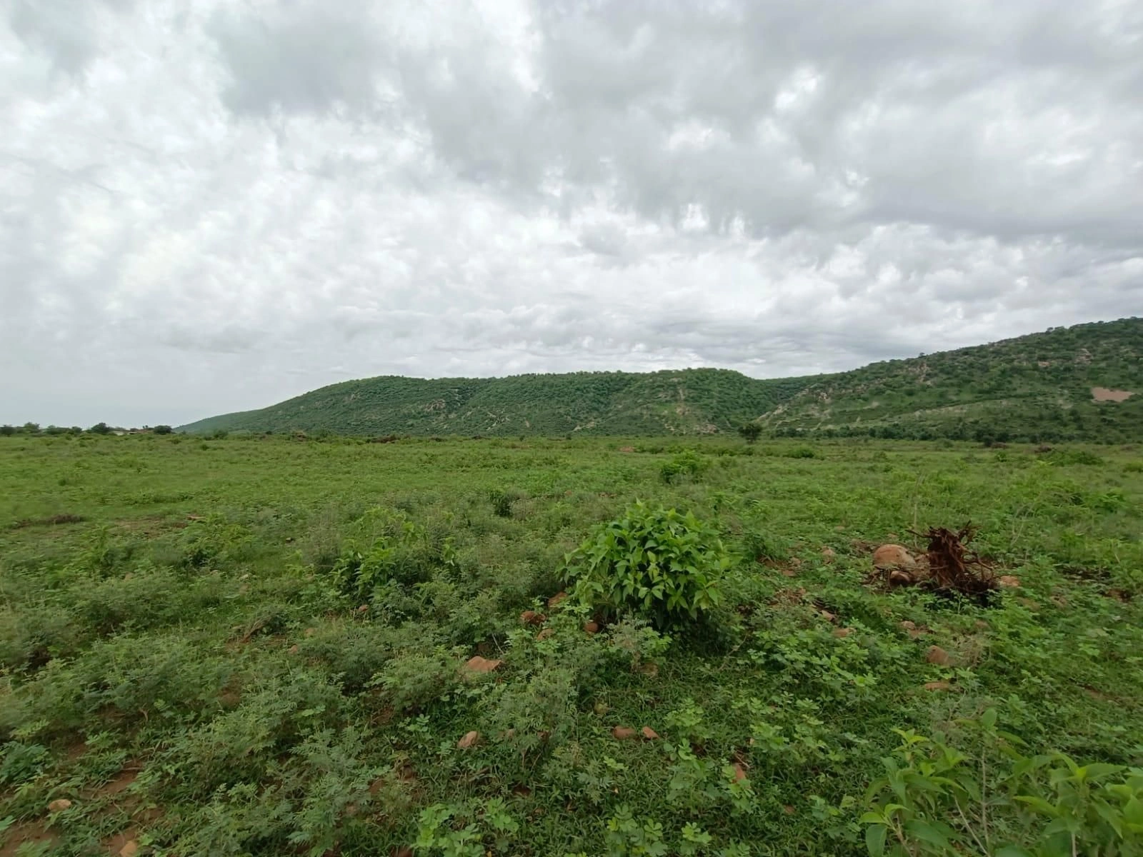 Gopalpura, Alwar, Rajasthan 301022, India - Photo 3