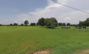 Sri Ganganagar, Rajasthan, India preview 3