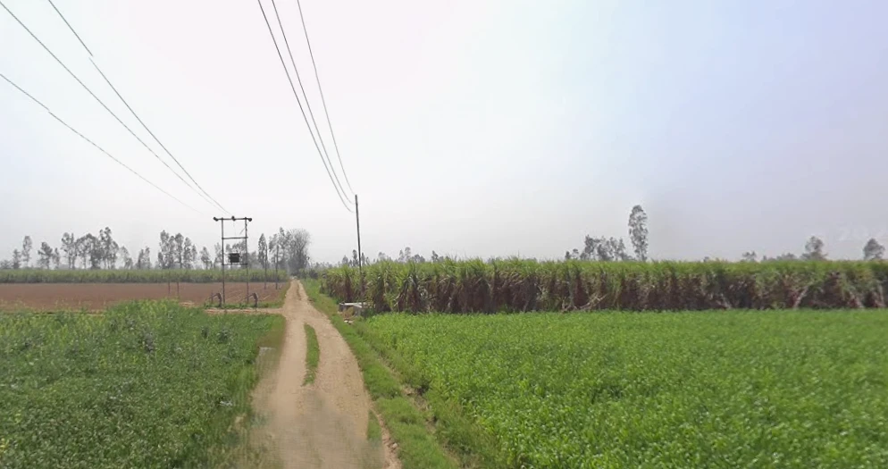 Mawana, Uttar Pradesh, India