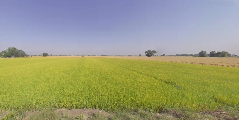 Domra, West Bengal 713148, India preview 3