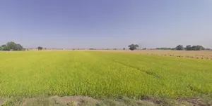 Domra, West Bengal 713148, India preview 3