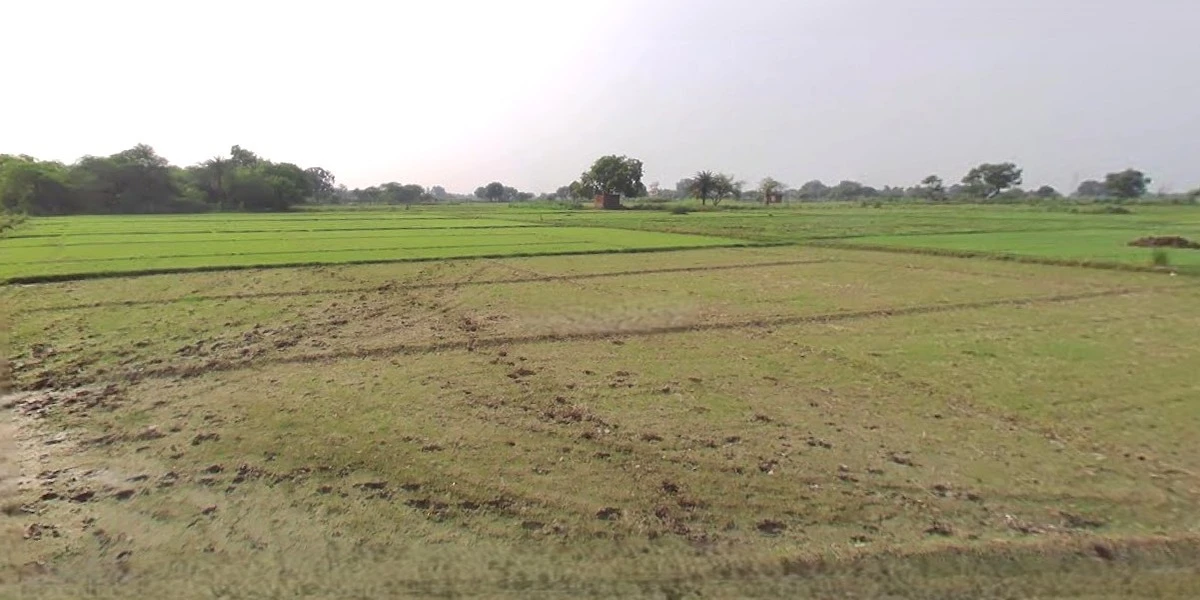 Chandla, Madhya Pradesh 471525, India