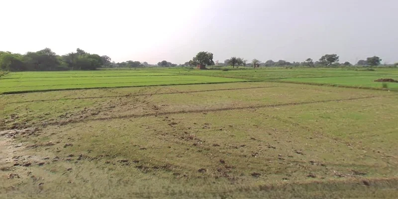 Chandla, Madhya Pradesh 471525, India preview 3