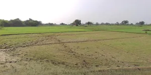 Chandla, Madhya Pradesh 471525, India preview 3