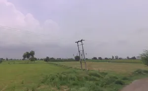 Meham, Haryana 124112, India preview 2
