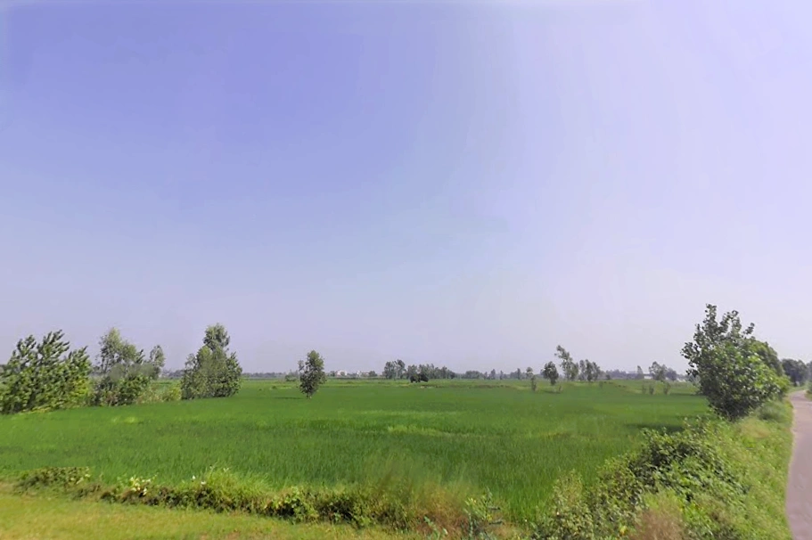 Bilaspur Kalan, Haryana 122413, India