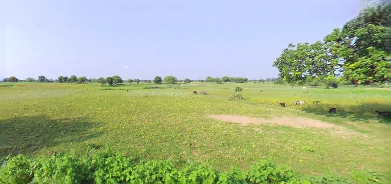 Prayagraj, Uttar Pradesh, India