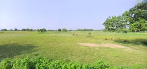 Prayagraj, Uttar Pradesh, India preview 3