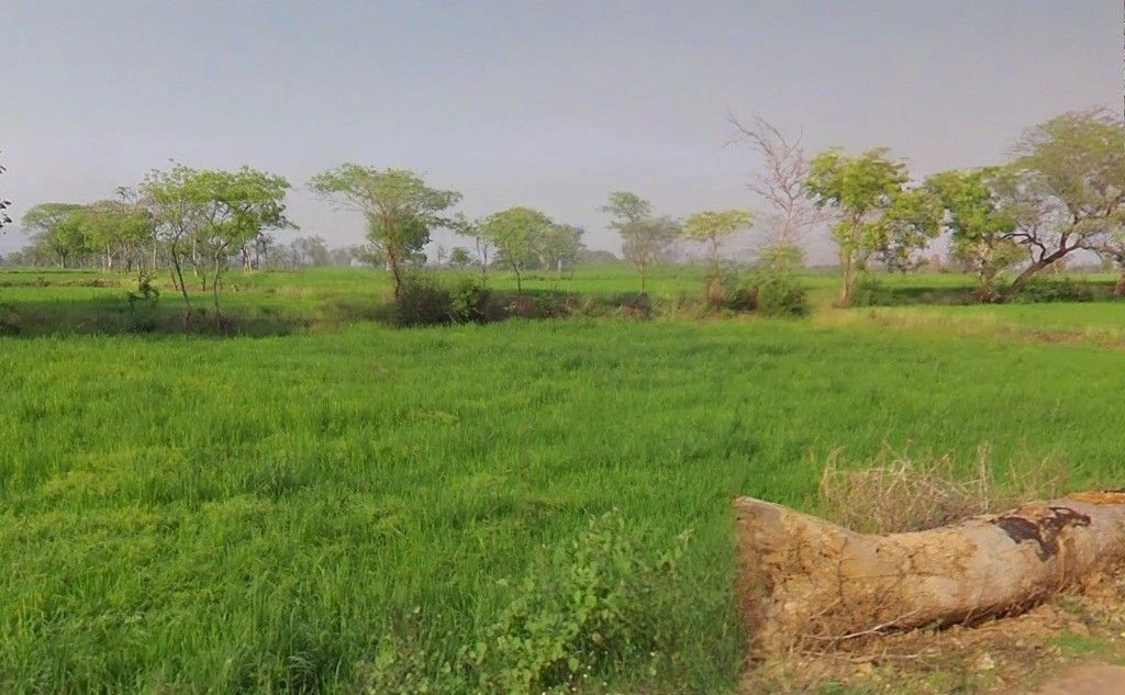 Tarra, Chhattisgarh 493887, India