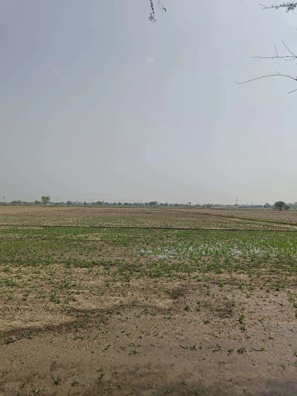 Aou, Rajasthan, India