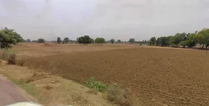 Muskara, Uttar Pradesh 210506, India preview 2