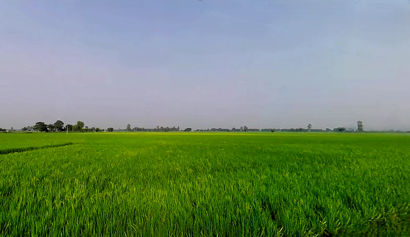 Rakhra, Punjab, India preview 2