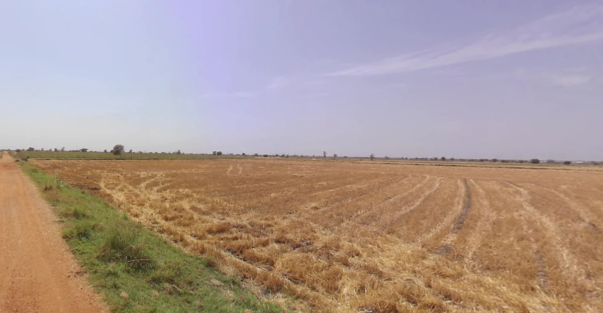 Viramgam, Gujarat 382150, India