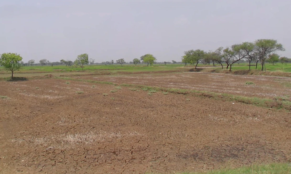 Gota, Chhattisgarh, India
