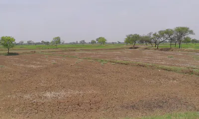 Gota, Chhattisgarh, India preview 2