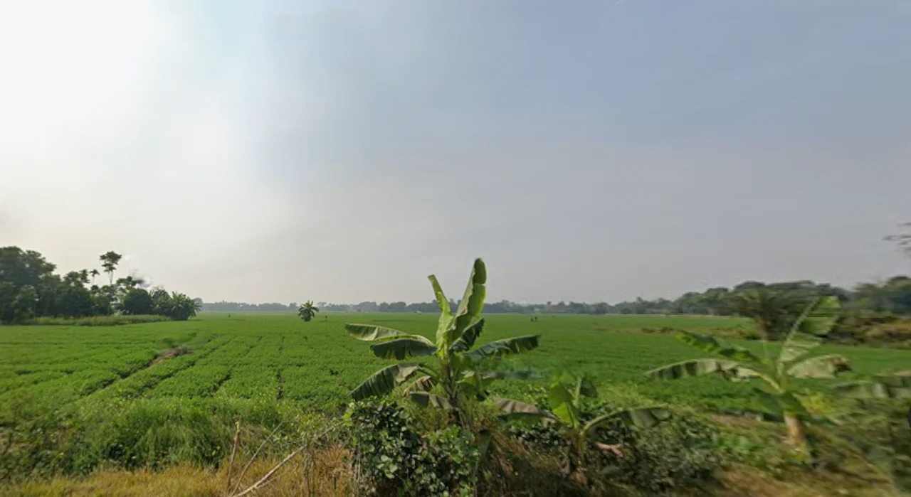 MC24+P37, Doctor Bagan, Bediapara, North Dumdum, West Bengal 700065, India preview 2