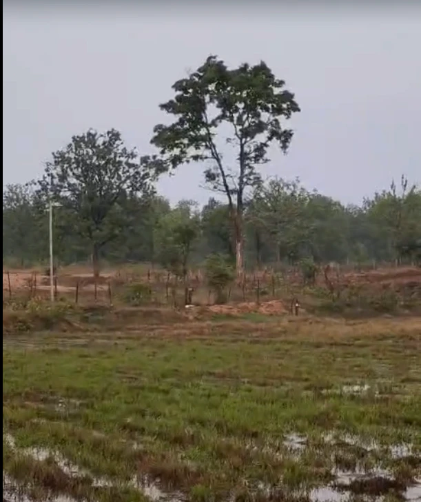 Shrikhandi Bhitta Pashchimi, Sitamarhi, Bihar 843331, India