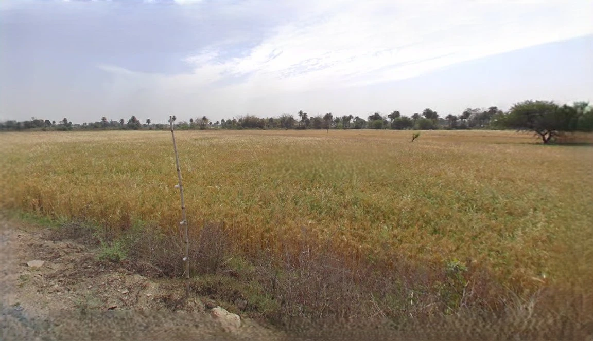 Ujjain, Madhya Pradesh, India