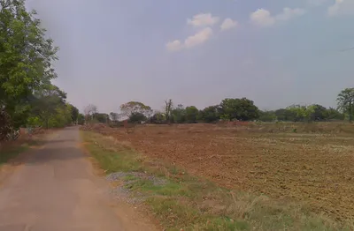 Kota, Chhattisgarh 493114, India preview 3