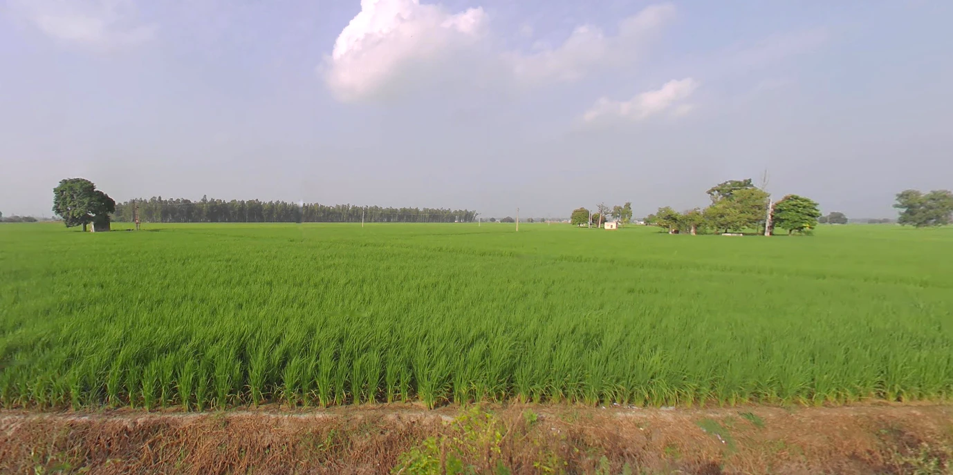 Mant, Uttar Pradesh 281202, India