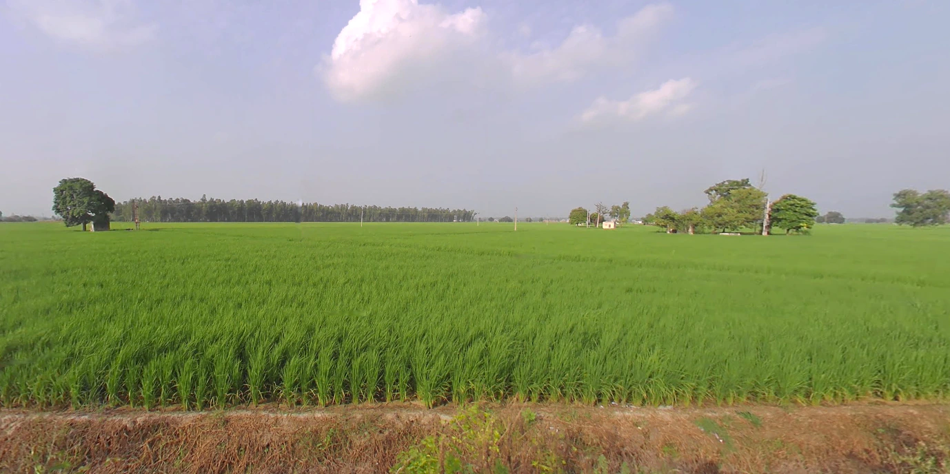 Mant, Uttar Pradesh 281202, India