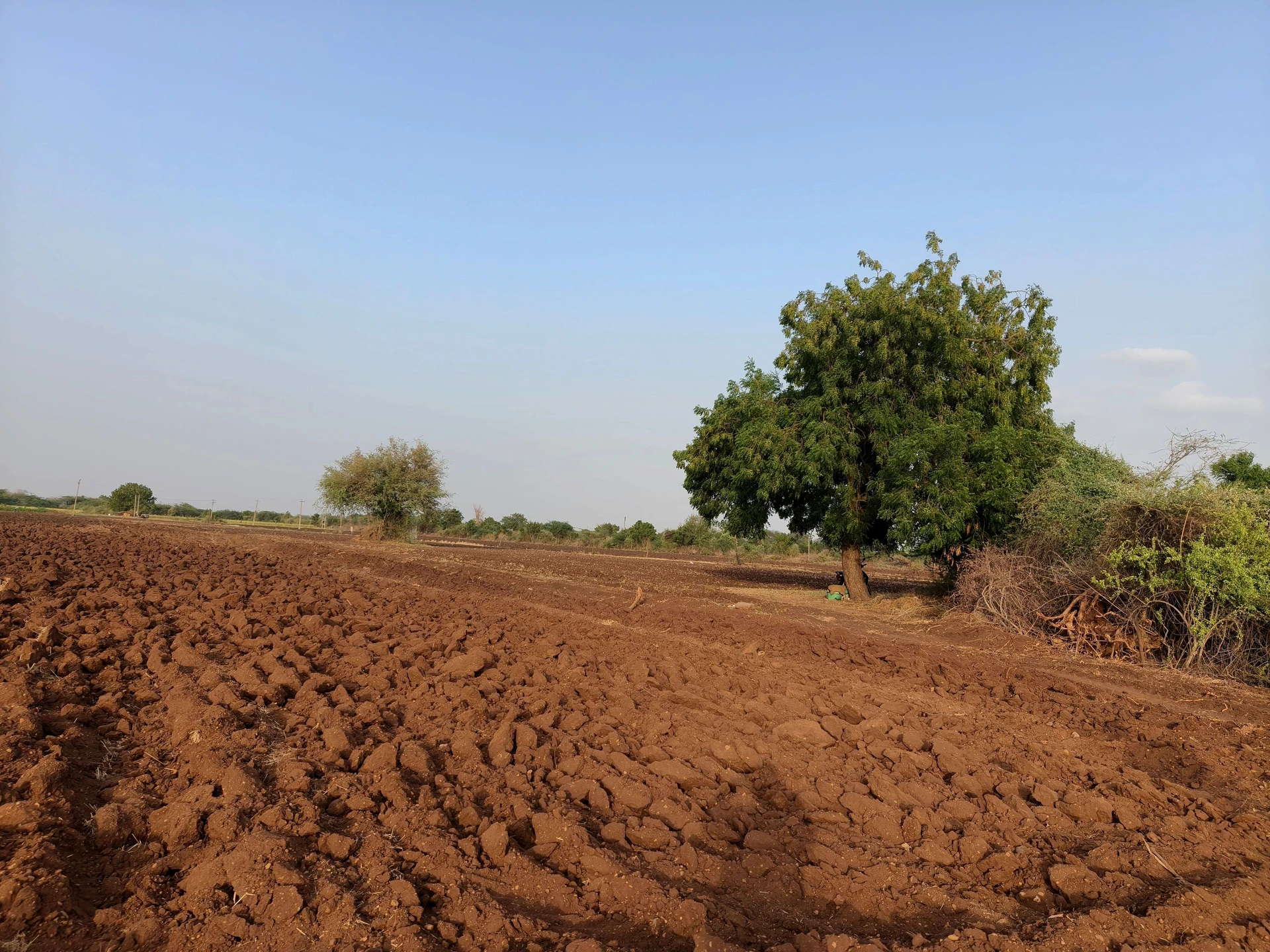 Kojachora, Gujarat 370485, India