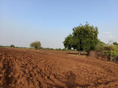 Kojachora, Gujarat 370485, India preview 5