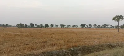Ingoriya, Madhya Pradesh 456222, India preview 2