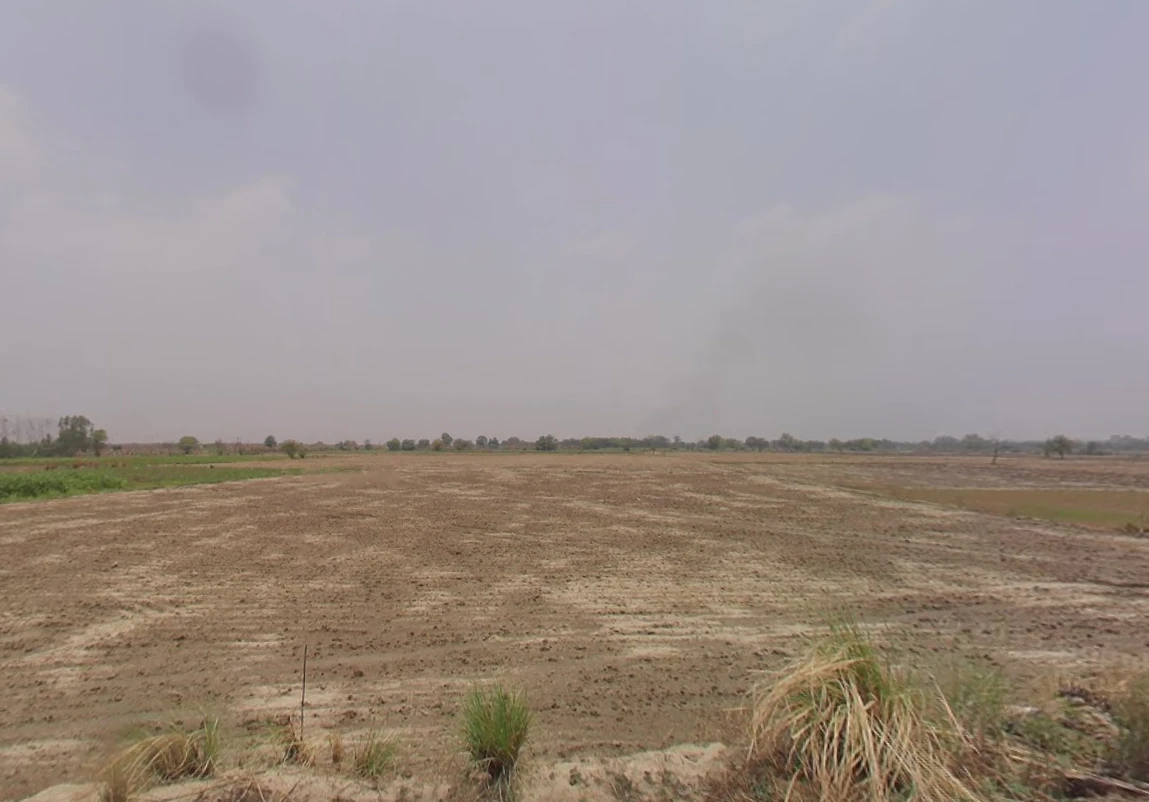Sampla, Haryana 124501, India