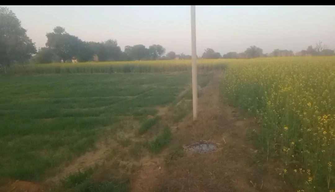 Mahwa Khurd, Rajasthan 301001, India