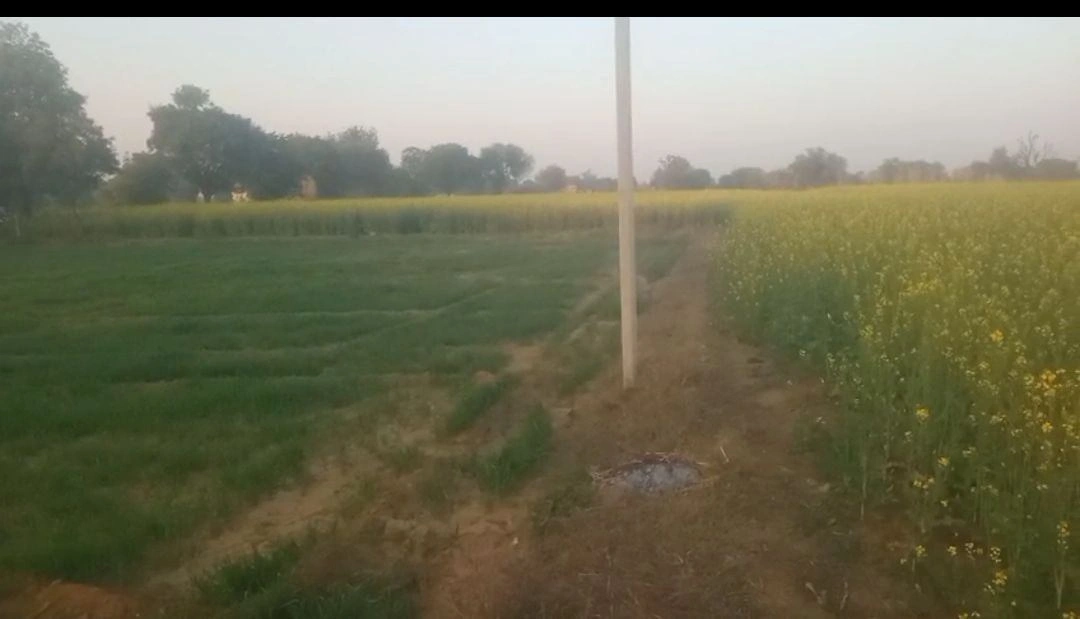 Mahwa Khurd, Rajasthan 301001, India