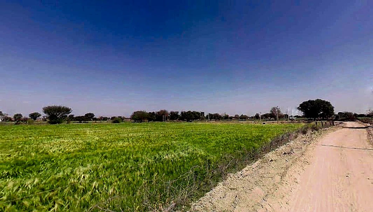 C933+858, Aloda, Rajasthan 332602, India