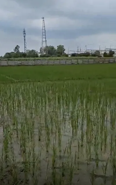 Bhalai, Uttar Pradesh 281205, India preview 2