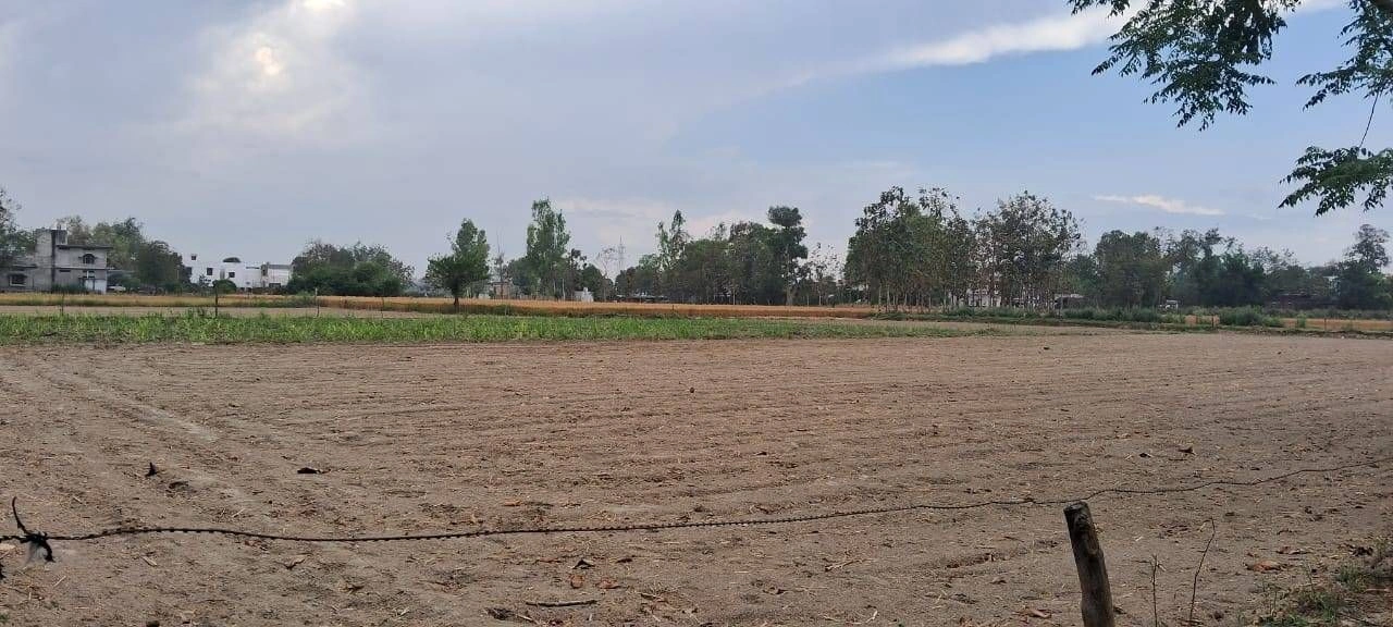M6Q7+8G Rampur Sargha, Uttar Pradesh, India