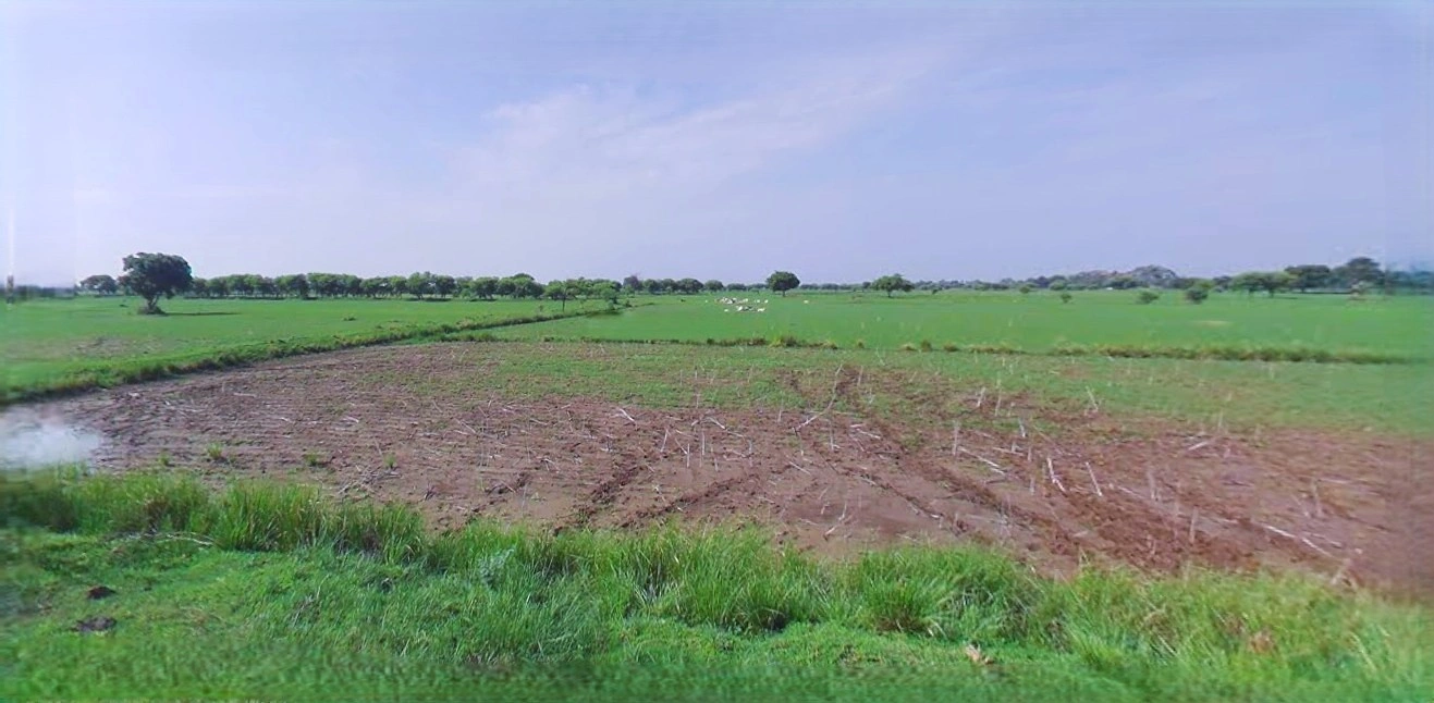 Jhajjar, Haryana 124103, India