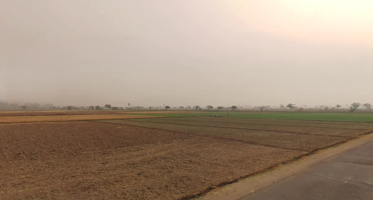 Firozpur Kalan, Haryana 121004, India