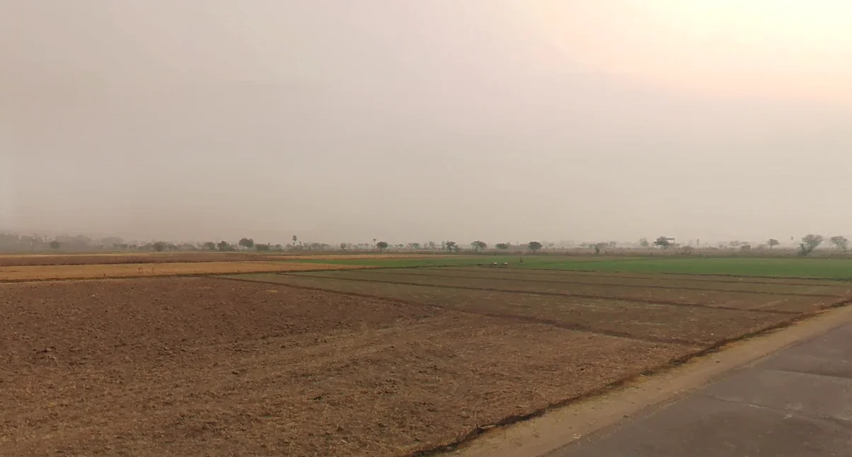 Firozpur Kalan, Haryana 121004, India preview 3