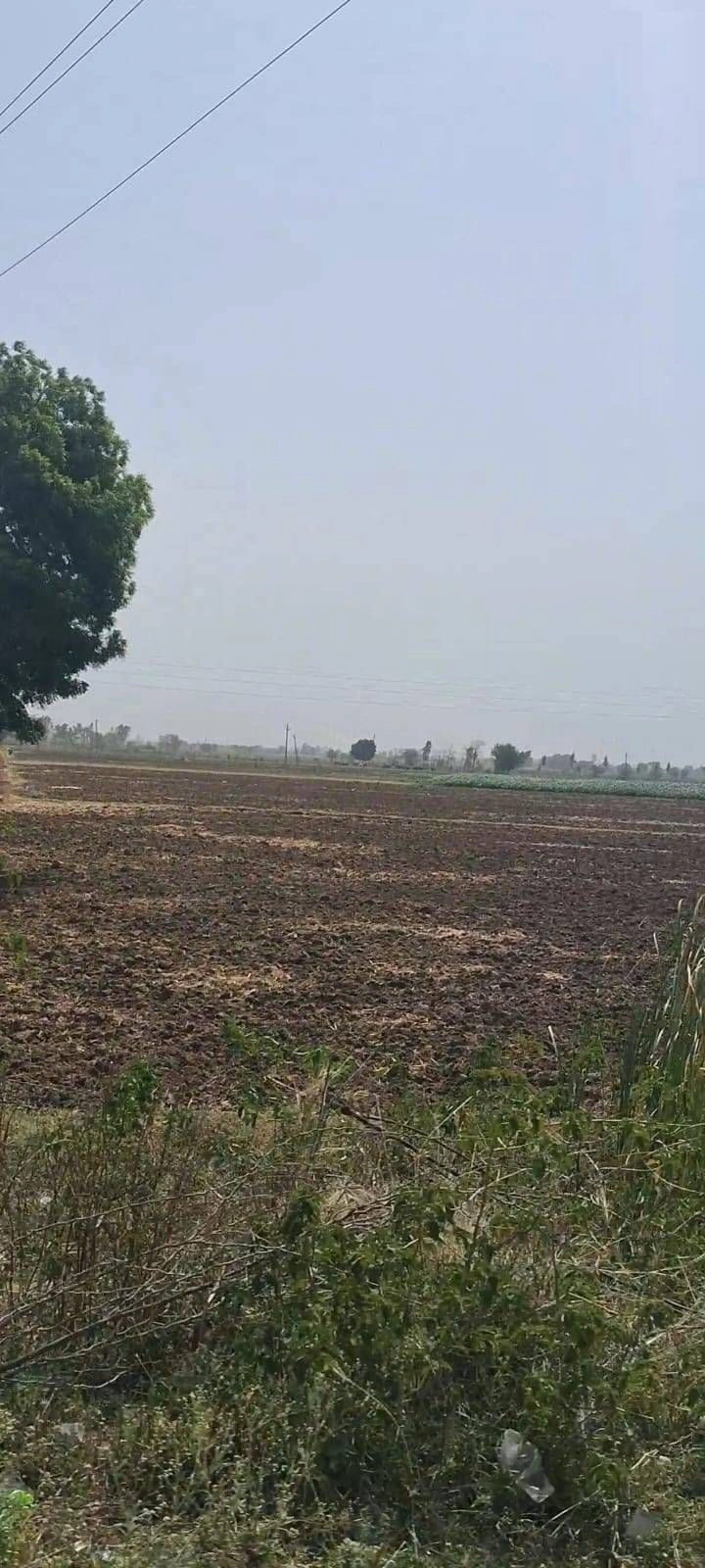 6JWX+XHM, Govindgarh, Rajasthan 303712, India preview 3