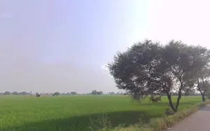 Babain, Haryana 136156, India preview 2