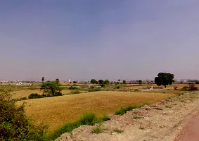 Sector 146, Noida, Uttar Pradesh 201306, India preview 2