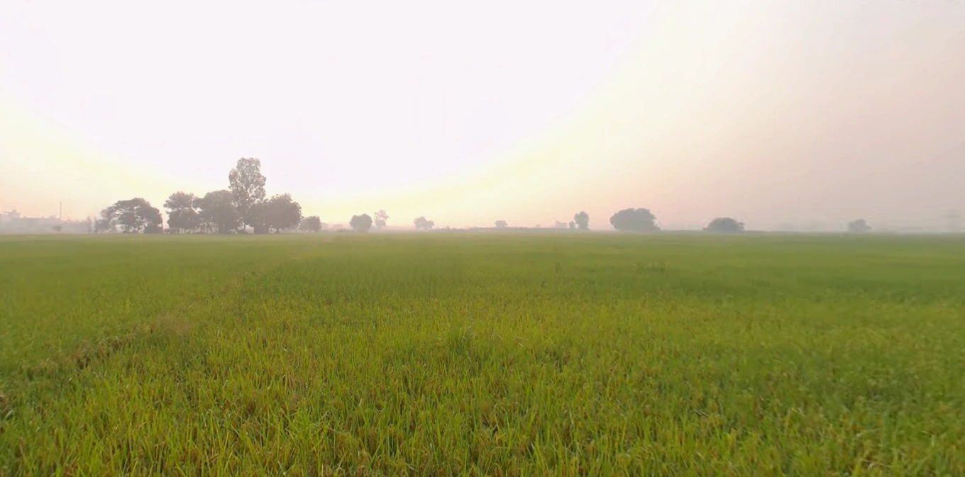 Mangli (Uchi), Ludhiana, Punjab, India