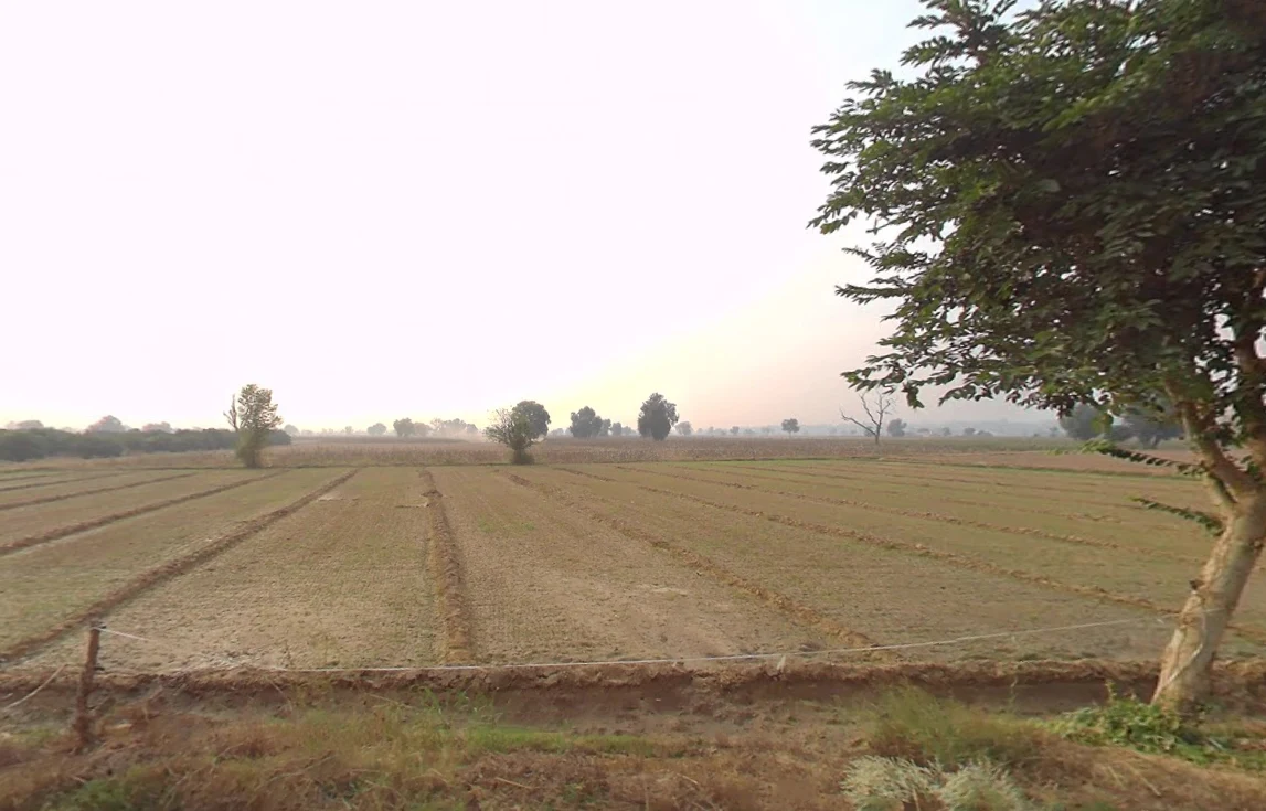 Bhattu Mandi, Haryana 125053, India