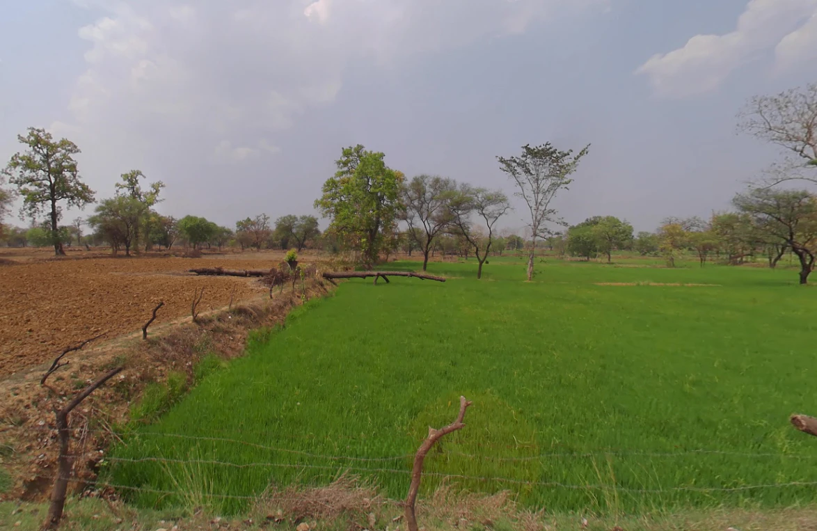 Godhi, Chhattisgarh, India