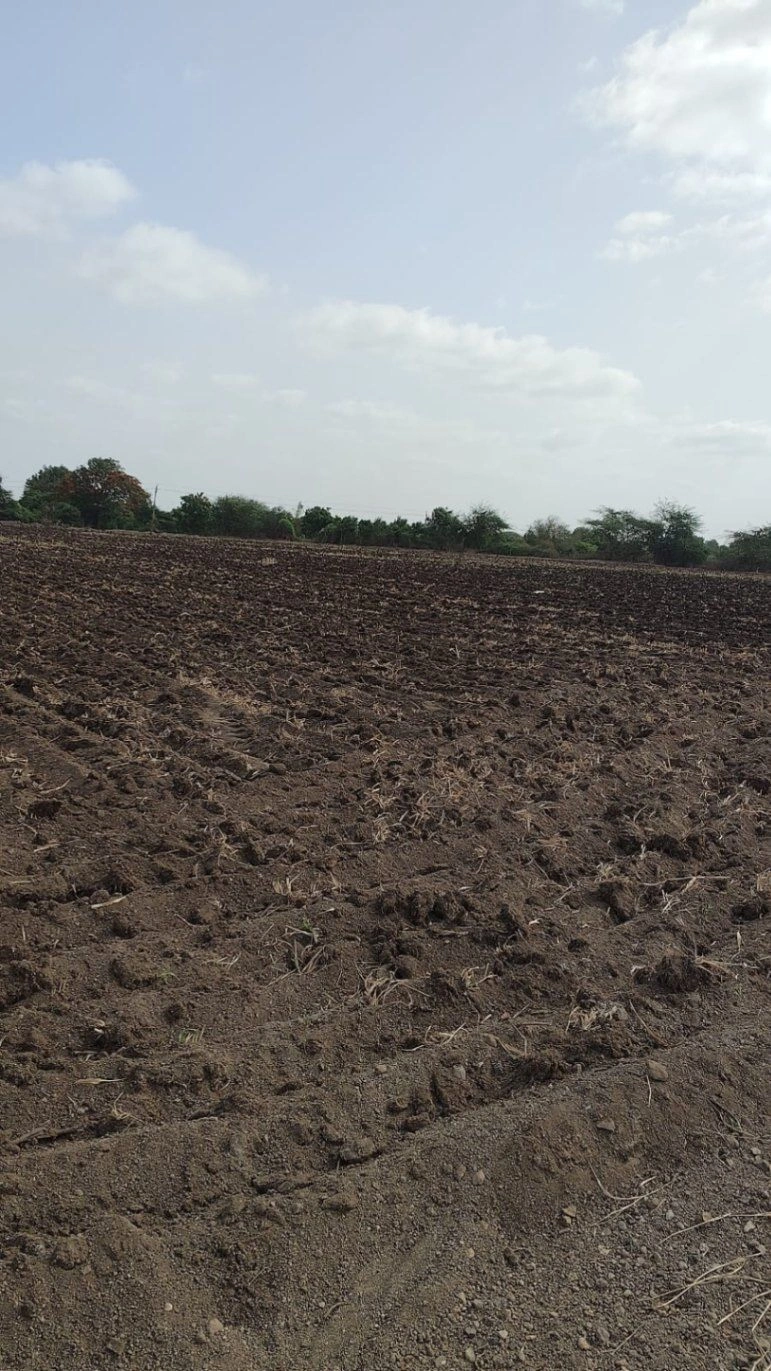 QFVM+V25, Vegadi, Gujarat 360410, India