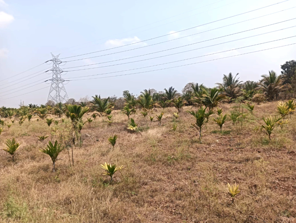 Hiriyur, Karnataka, India
